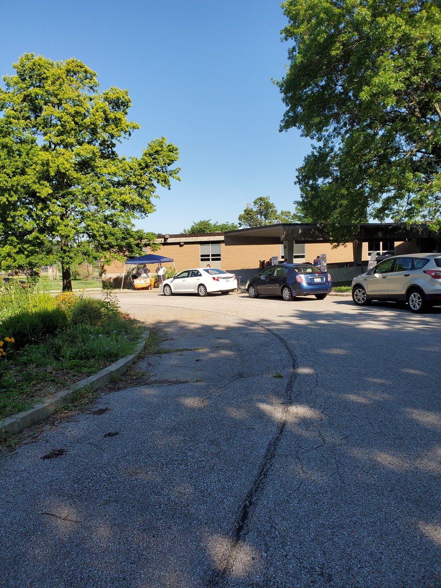 Tonya Arnold tweet media