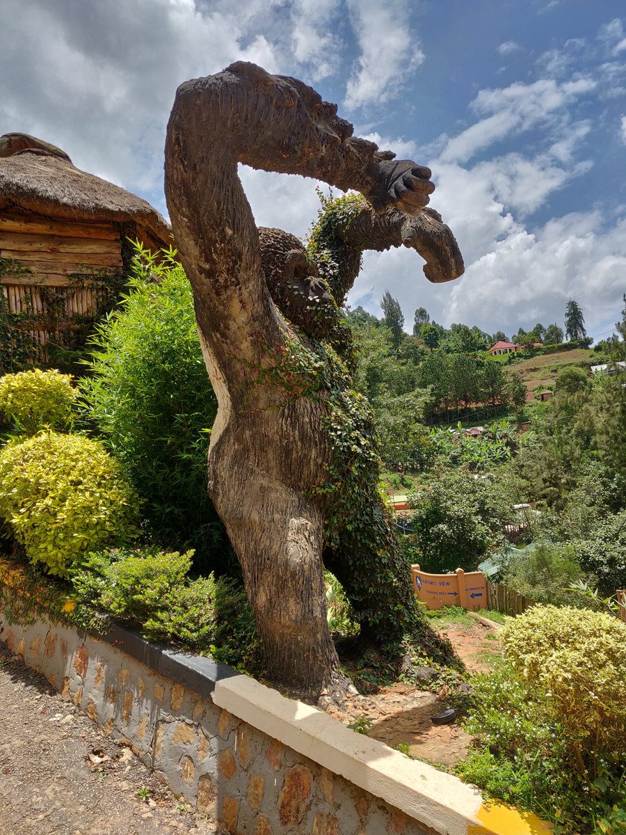 The whole lake has several hotels and I went to sample a few restaurants around. Had really good fish curry on this one. There are also local shops around to have Rolex which is a must-have if you are in Uganda