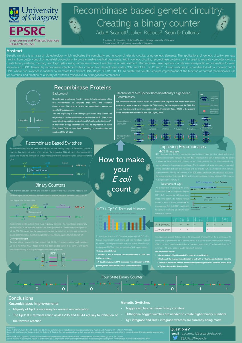 Joining in the  #NAF2020  #RSCposter session fun! Here is my poster, How to make your E Coli Count, explaining the process of making binary counters using recombinases in the  @UofG_DNApeople labs. Walkthrough thread!  #sciencecommunication  #dna  #syntheticbiology  #synbio 1/12