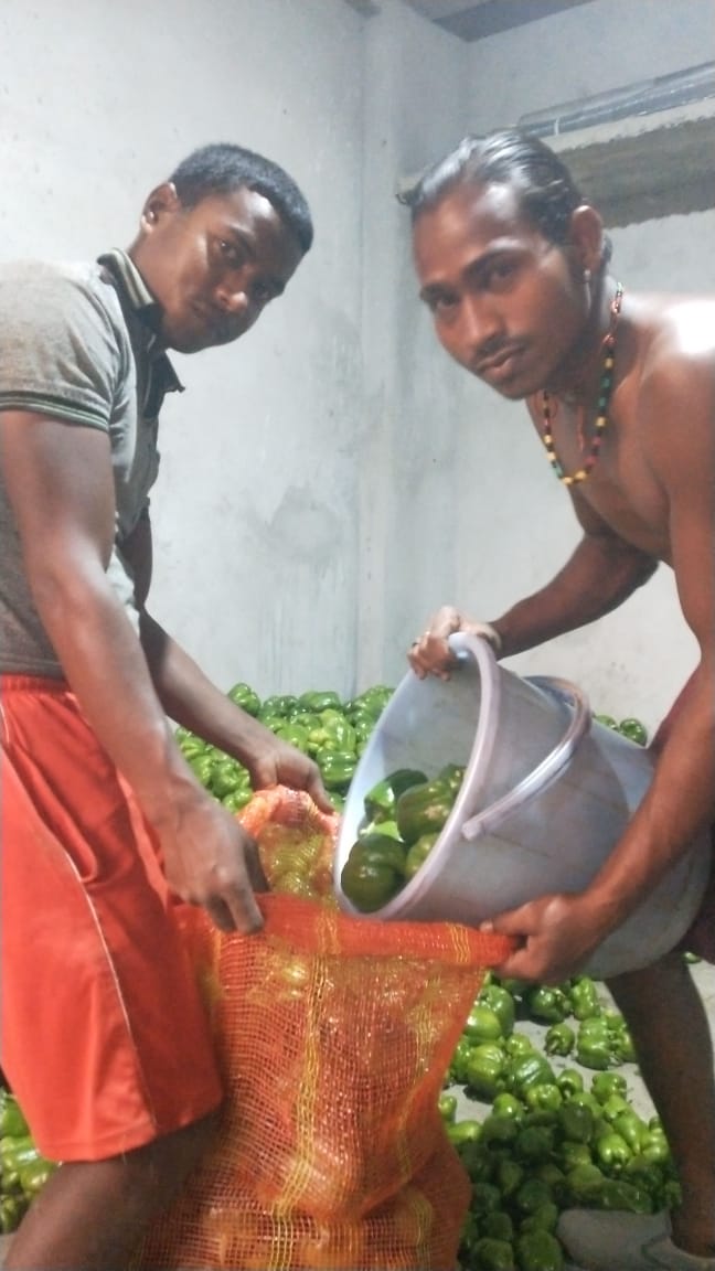 ashok_chauhanHP's tweet photo. CSC VLE Ram krishan GP Satog Theog  sold one ton capsicum through CSC Kisan e Mart in Himachal  Pradesh 
@dintya15 @rsprasad @CSCegov_ @CSCHimachal 
#CSCseGRAMSWARAJ https://t.co/FMl42gaZN1