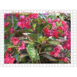 GCFinSol's tweet photo. #flowerlovers #jigsaw #puzzle #flowerphotography #COVID #familytime #familyfun #relationships #ADHD #orderonline
Bright Begonia Jigsaw Puzzle https://t.co/PqXCHrt4ho https://t.co/aqCIHV5fs9