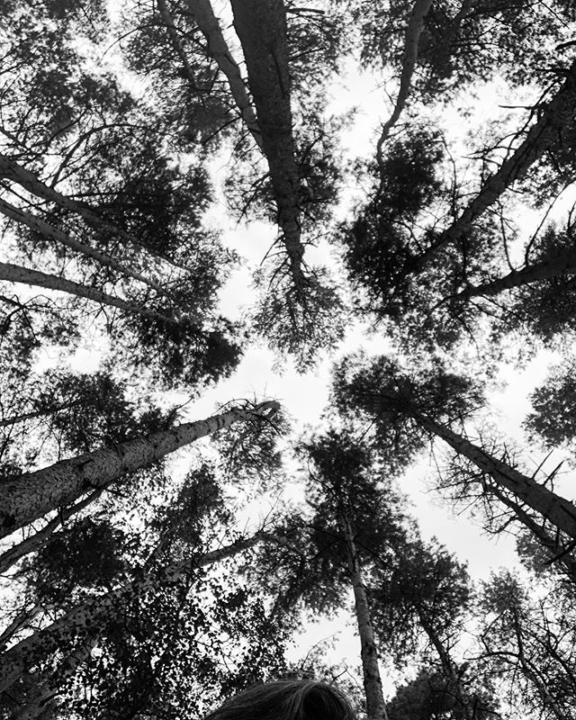 TreesforCities's tweet photo. We loved your entries in our weekly #TFCsnaps photo challenge! The photo prompt was *stand under a tree and look up* - have a look at the best pics here: https://t.co/Ix9AssesGX
Keep your eyes peeled for our next photo prompt, released every Tuesday! πΈ π https://t.co/2g6FjVAiUD