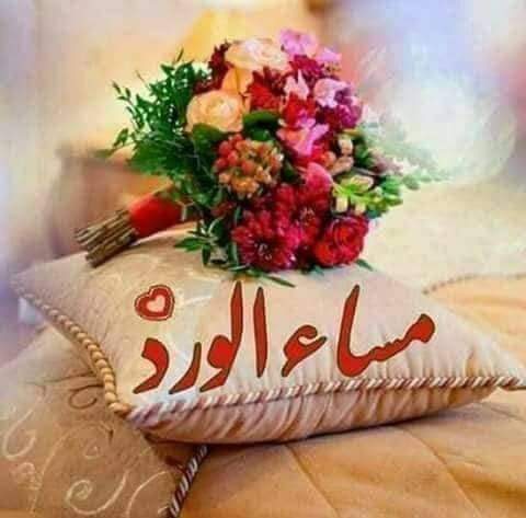 🌸أبن العروبة😪🌷 tweet media