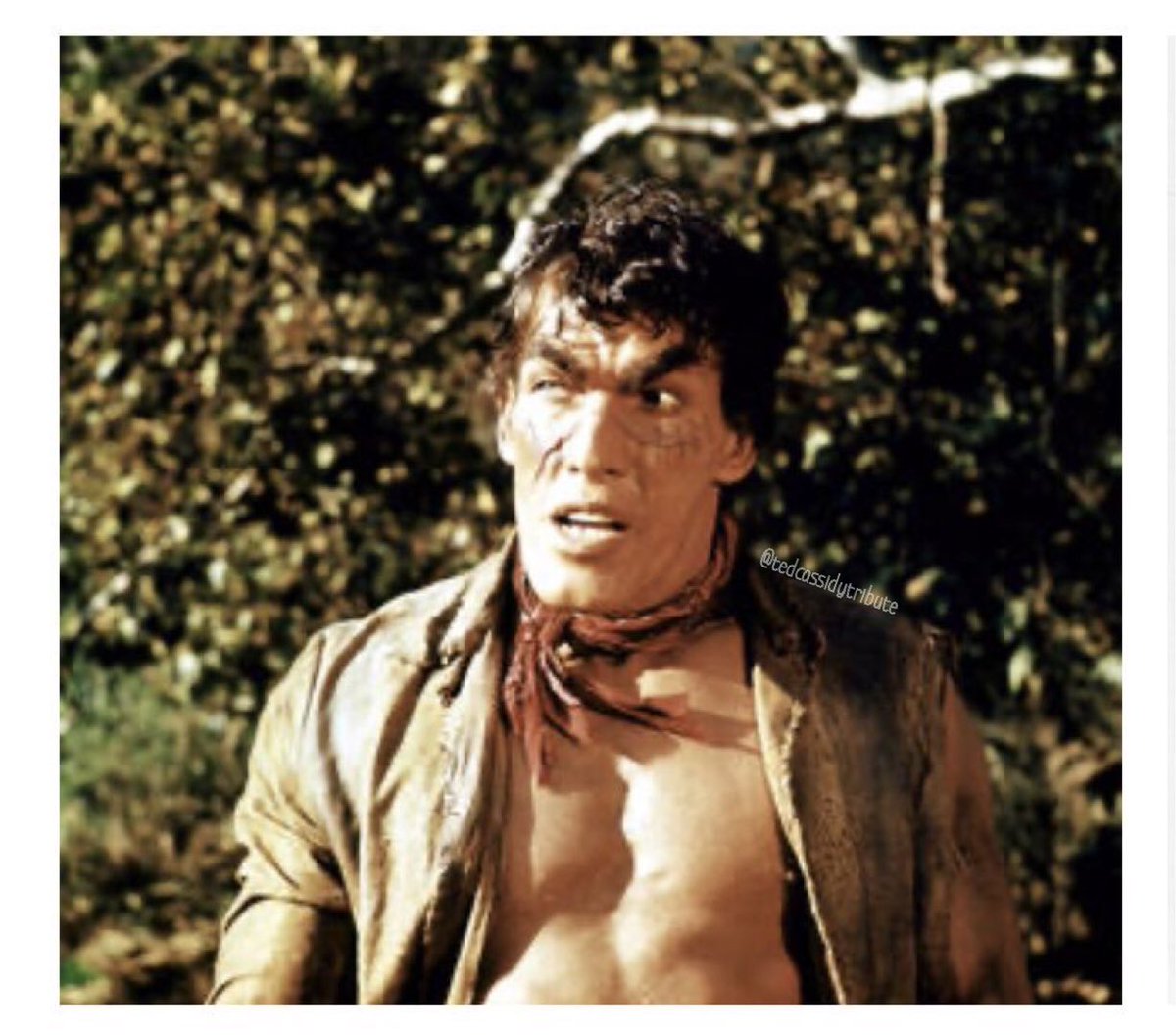 tedcqssidy's tweet photo. Ted Cassidy as Injun Joe in “The New Adventures of Huckleberry Finn” (1968-1969) ❤️
•

#TedCassidy #TedCassidyTribute #InjunJoe #TheNewAdventuresofHuckleberryFinn #HuckleberryFinn #60s https://t.co/IWczubL1xm