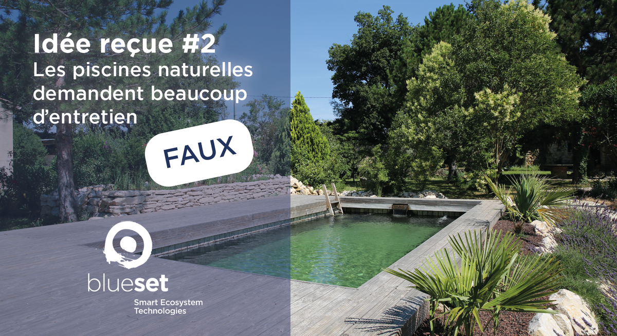 BlueSETsolution's tweet photo. Les piscines naturelles BlueSET sont conçues intelligemment et nécessitent moins d'entretien que les piscines traditionnelles.
Pas besoin de mesurer le PH de l'eau, les plantes et les bactéries s'en chargent pour vous!
#piscine #BlueSETsolutions #baignadenaturelle #maisonécolo https://t.co/AN7ImKAiGs