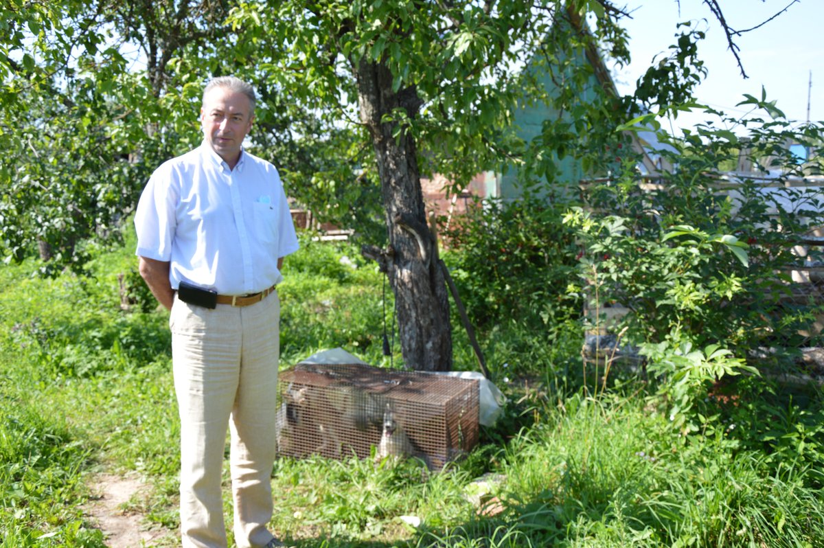 Сегодня, по приглашению Арсения Олеговича Дробышевского, члена федерации ездовых видов спорта по Ивановской области, побывали у него в гостях в д. Софронцево. Здесь он организовал приют для потерявшихся по всей области собак породы Хаски.  🐶 

#депатутнаокруге16 #16округиваново