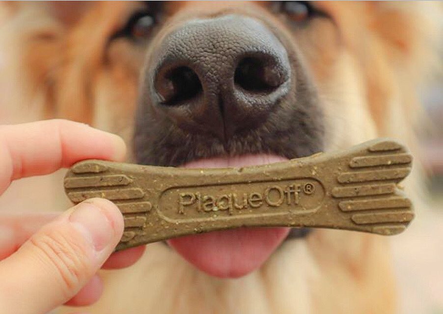 swedencareuk's tweet photo. The only words we’ll put in your mouth...
.
We love seeing all your photos, shoutouts and recommendations. We’re so glad you guys love our products just as much as we do!
📸 - @rileynsullys_kn9ne_adventures
.
#PlaqueOff #Plaque #Tartar #BadBreath #DentalBones #VeggieDentalBones https://t.co/vYhWGq2TgW