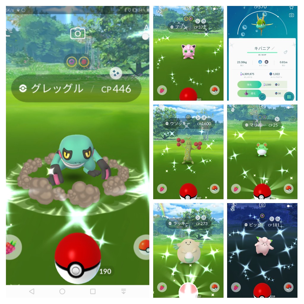 グレッグル 色 違い ポケモン剣盾 ソードシールドの違い解説 どっちを買う ポケモンソードシールド