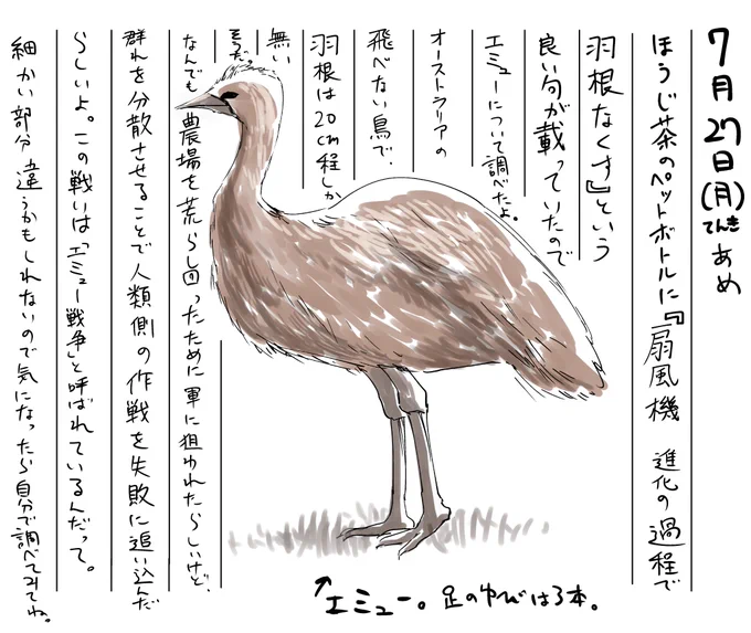 7/27絵日記 