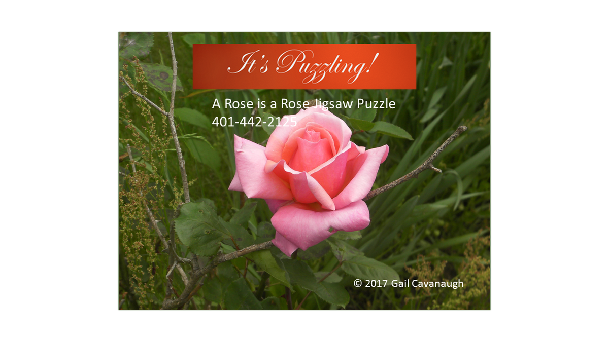 GCFinSol's tweet photo. #jigsaw #puzzle #rose #flowerphotography #flowers #familyfun #relationships #familytime #ADHD #orderonline
A Rose Is A Rose Jigsaw Puzzle https://t.co/hnHbKZ0MoI https://t.co/DLC71Notm0