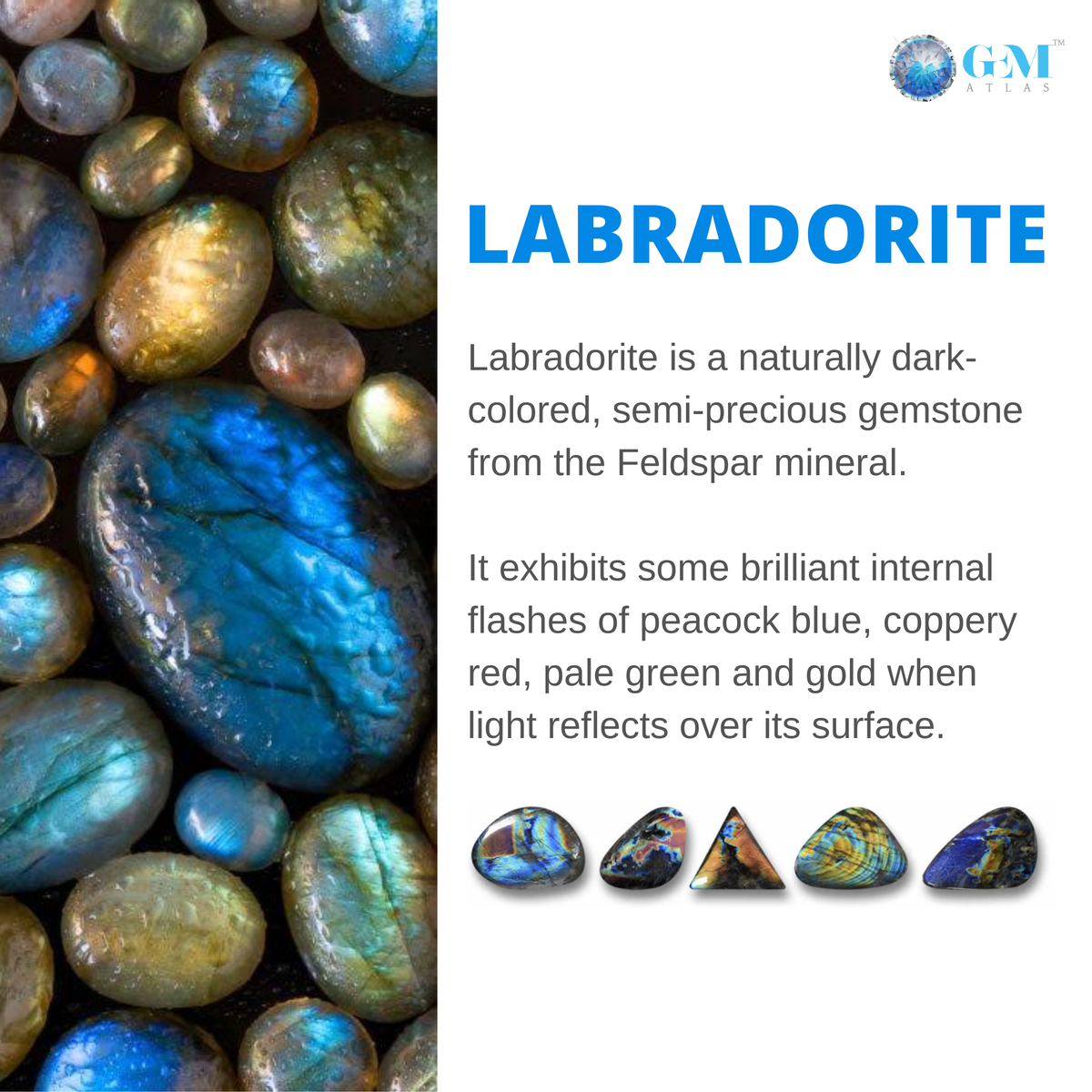 GemAtlas's tweet photo. Labradorite is known for its ability to display a magnificent array of colours upon reflecting the light.

#labradorite #realstone #instagemstone #gemology #realgemstones #gemstonesforjewelry #goldcolor #colorstone #gemcollection #rawgemstones #beautifulgems #jewellover #gematlas https://t.co/zlwUFEYc2S