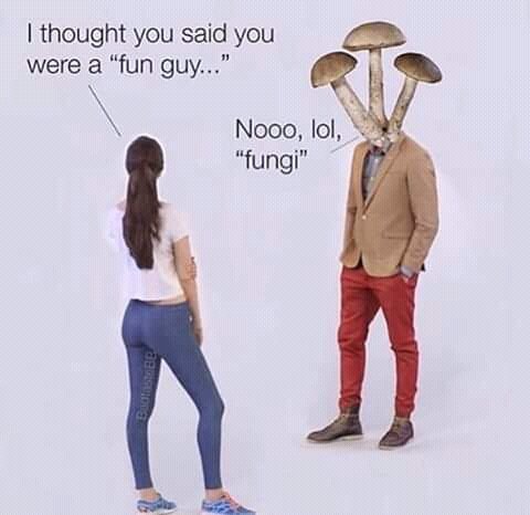 sciencepostin tweet picture