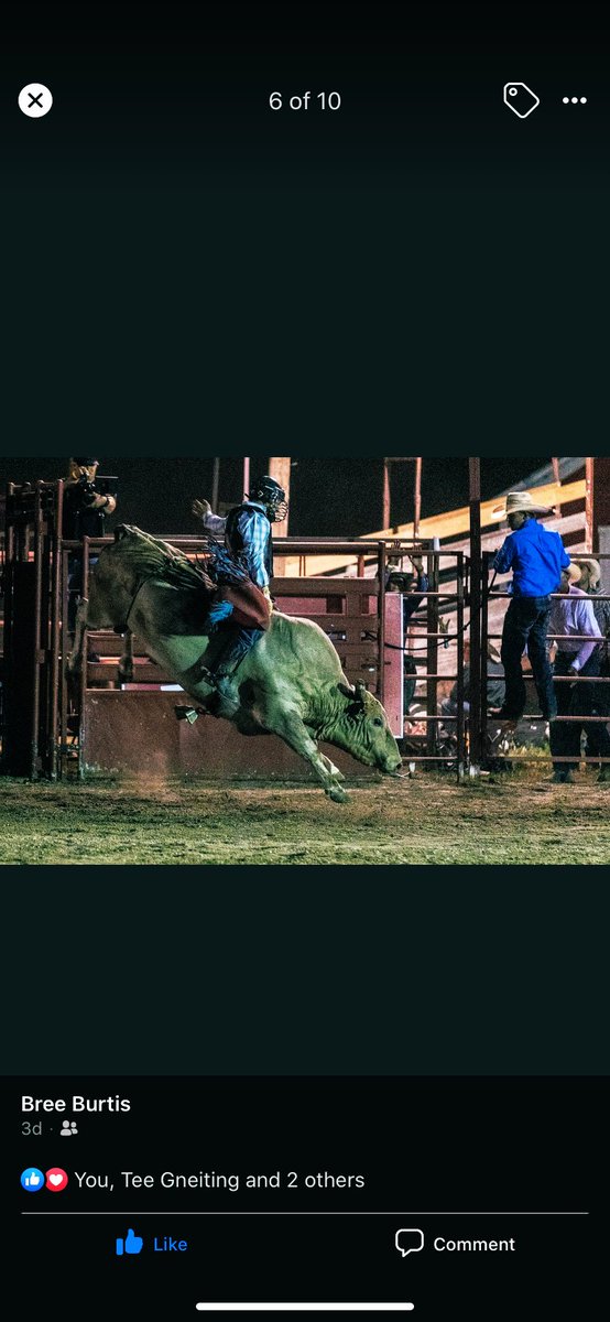 cjohnson_3's tweet photo. An only fans. But it’s me and the boys whoopin on some 18 point spinners while the back of the chutes looks like a banana truck crashed into the monkey exhibit at the zoo. https://t.co/aNRwEuw2Rc