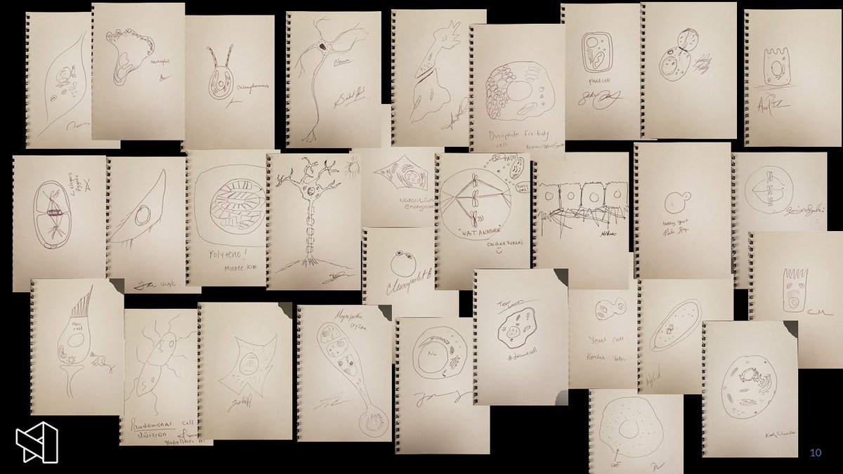AiviaSoftware's tweet photo. One of our inspirations for the new 3D Cell Analysis recipe: hand-drawn cells by researchers (from our #ASCB2019 #drawacell activity) 

Thank you @natgosselin, @FlySci, @UnculturedTy, @ImgeOzugergin, @HusserMathieu and many others for inspiring us! https://t.co/ldJ27V9iSX