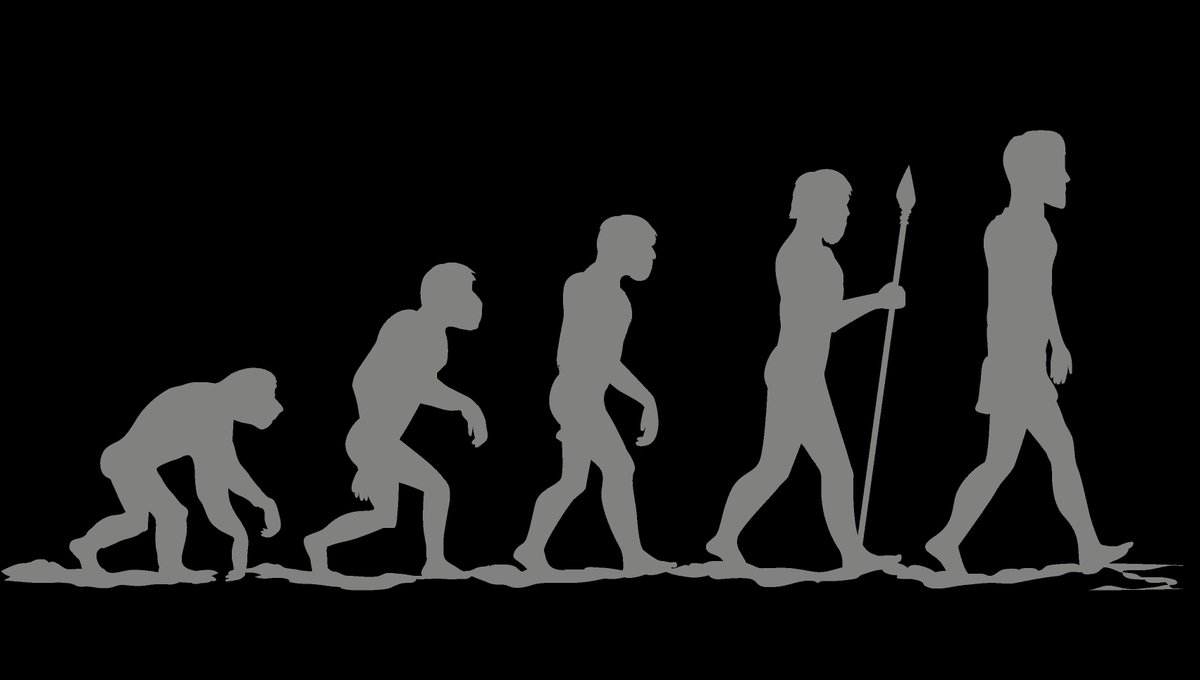 Randomists's tweet photo. There is no such thing as free bread!!
Everything comes with a price.

See we humans evolved to walk straight where originally were made to walk on four.

With this we developed back-pain as heavy brain had to be supported.

#Random_Thoughts #Randomist #evolution #NofreeBread https://t.co/Uvm1MZ7MNV