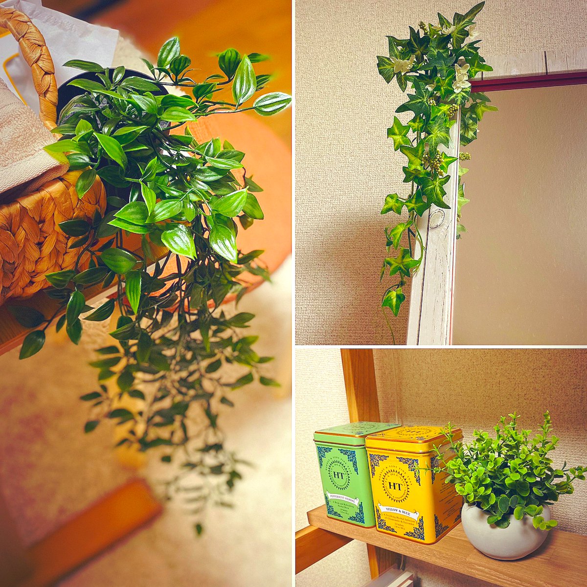 はねずや V Twitter 部屋に増えるフェイクグリーン Ikea ダイソー ニトリ でもやっぱ造花でも植物 があるとその一角が何かとても良い 植物パワー 葉っぱばかりなのでそろそろお花がほしいな