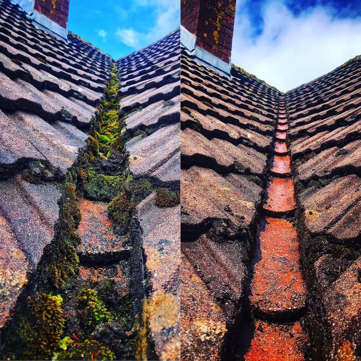 clearviewcleane's tweet photo. PART 1 #backwell #gutterclearance https://t.co/ORnqW0MJSY