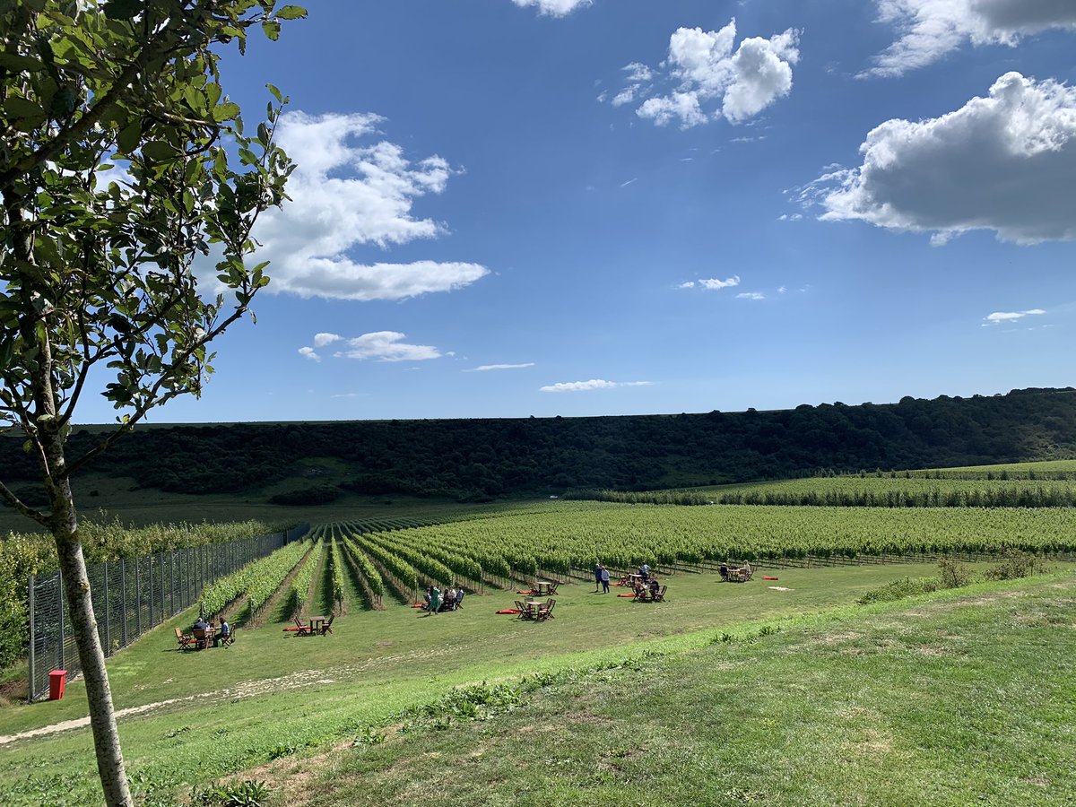 chefcbailey's tweet photo. I’m still looking for a strong Cdp to help with 10 days cover @RathfinnyEstate from the 7th-16th august if anyone is interested. Day time shifts only. Fast pace but fun work in a great location. https://t.co/G5AYLDx7Pz