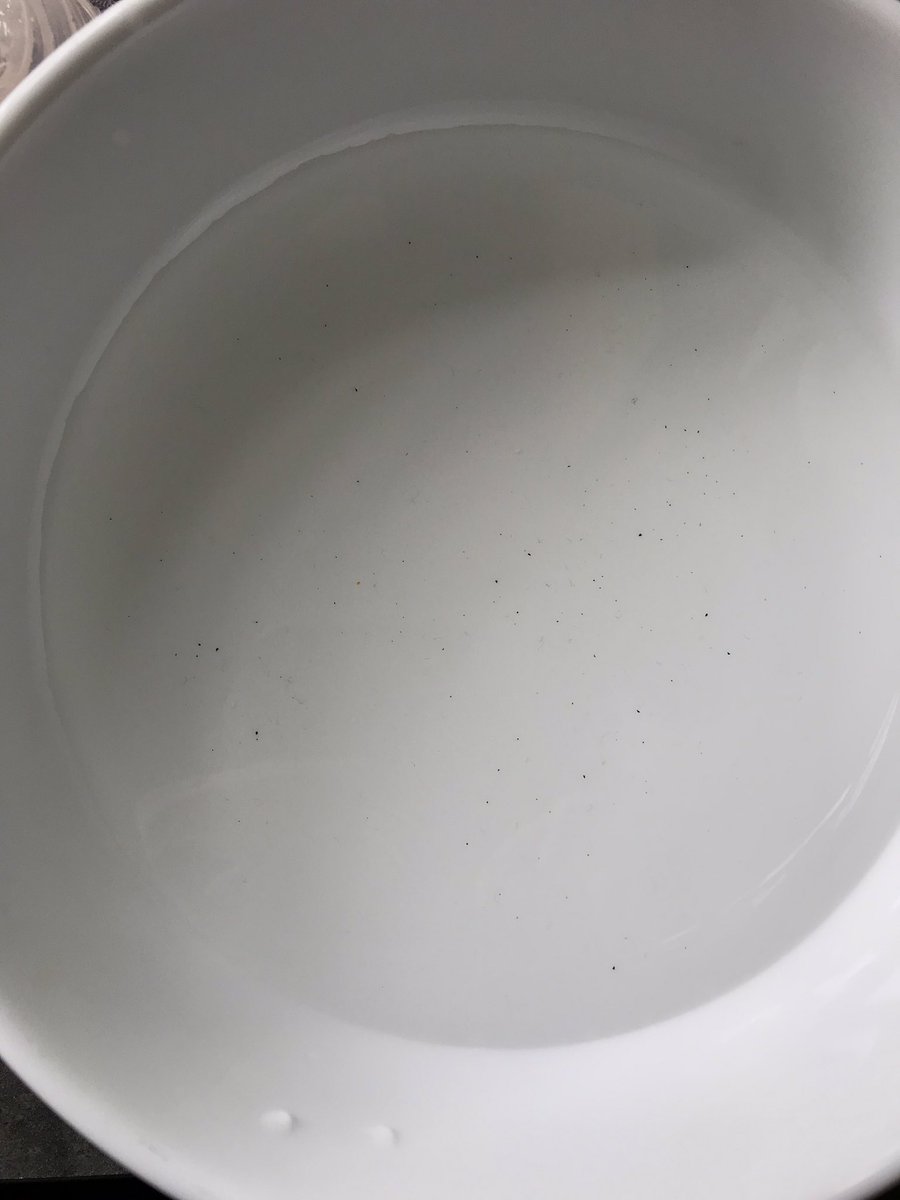dee_walsh's tweet photo. @IrishWater there is sediment in the water in Avondale Ballytivnan Sligo for the last couple of weeks. Is there ongoing works? I haven’t received a notice. https://t.co/24HbCPGUj2