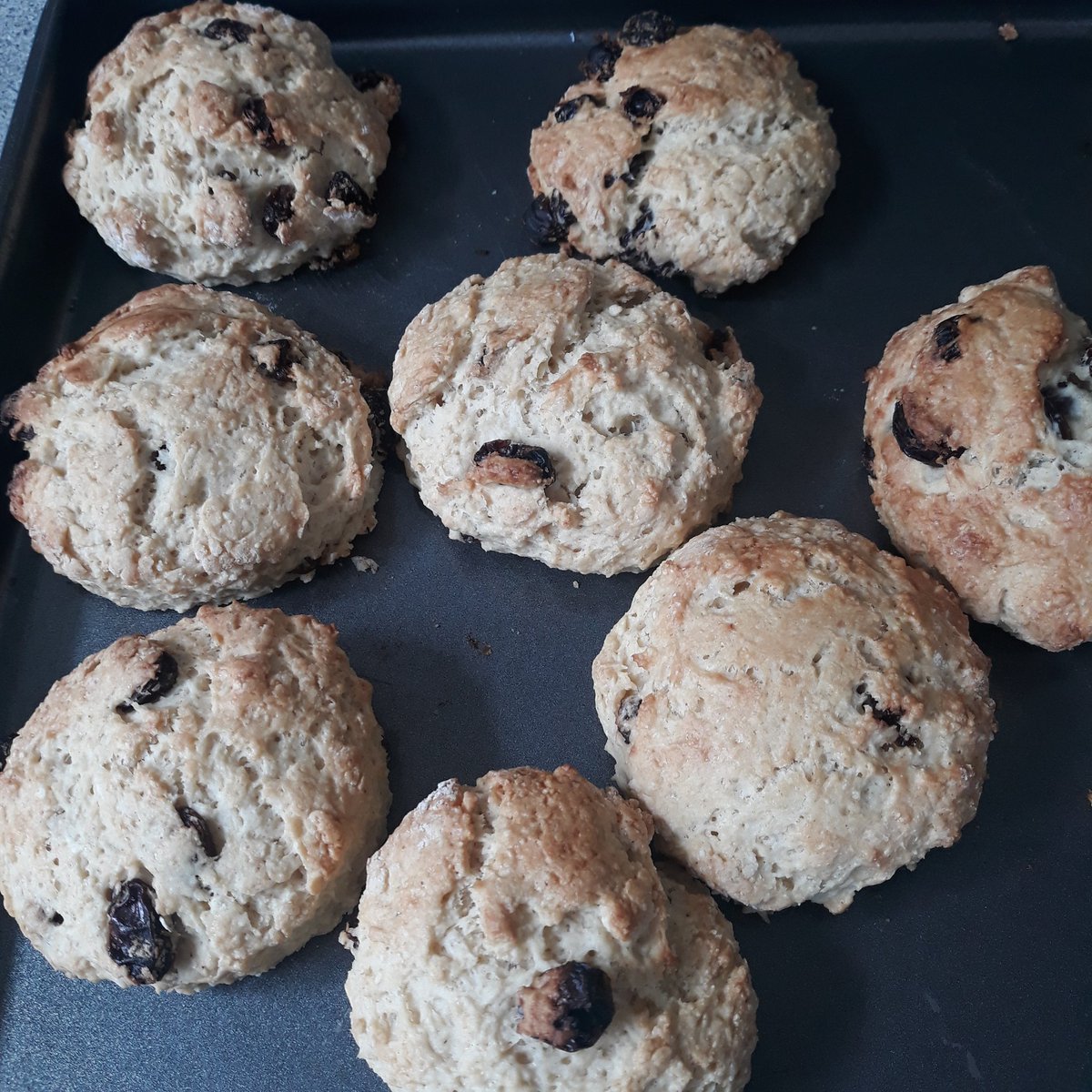 HELLSBELLS_DFYB's tweet photo. Not quite #parkscones ( @Sewerbyparkrun standard) but they will do #lockdownbaker #parkrun https://t.co/P3TgeRkbVK