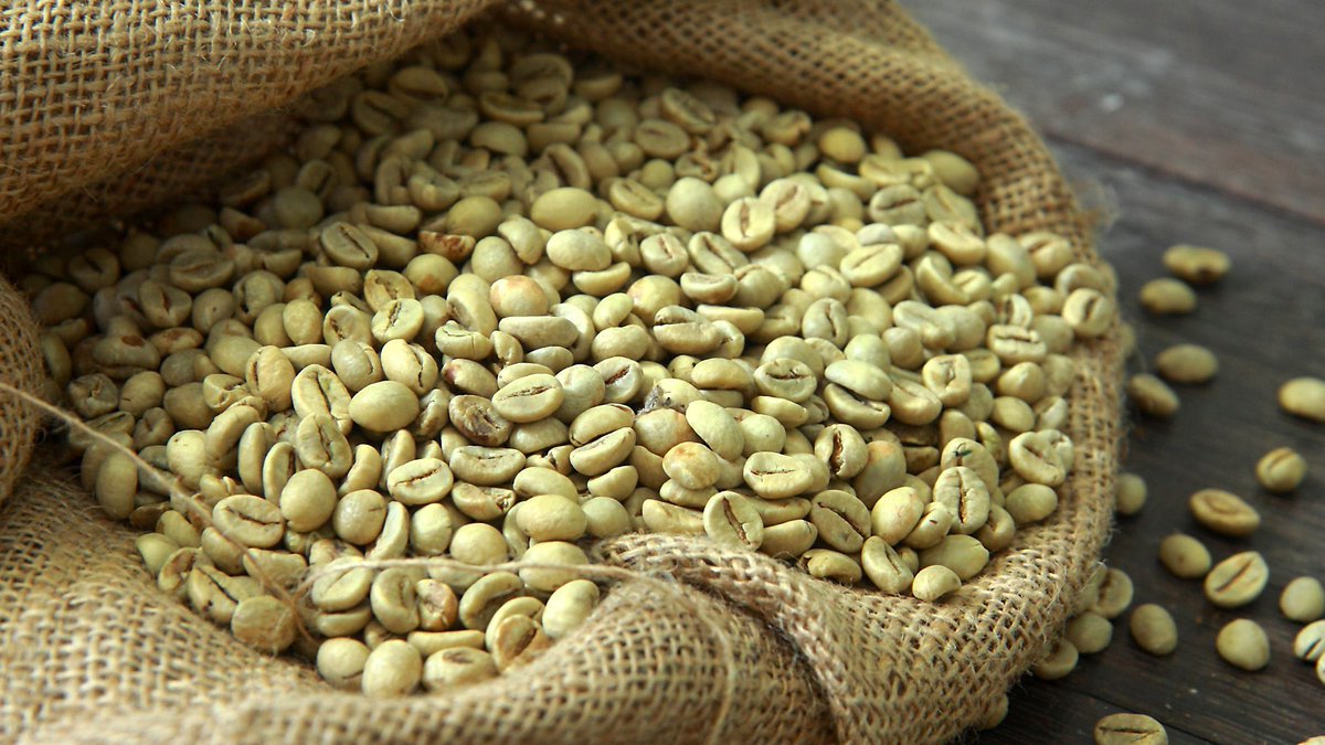 Selva_Bio's tweet photo. Green coffee contains high levels of a group of antioxidants known as chlorogenic acids, known to provide many benefits... https://t.co/Ew96OEM5dO