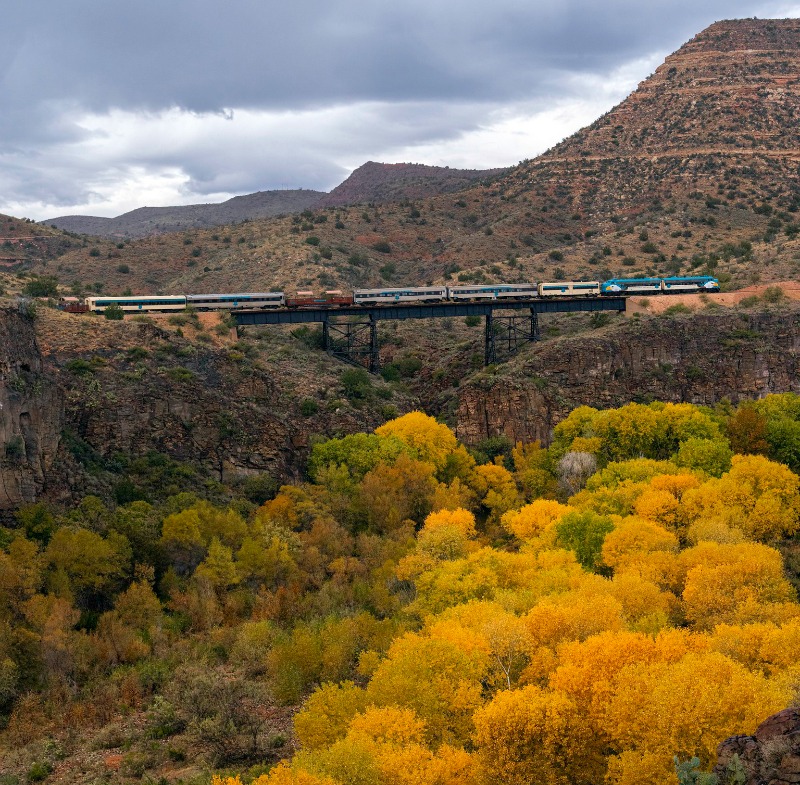 VerdeCanyonRail's tweet photo. Autumn is awesome along the Verde River. Verde Canyon Railroad offers an ideal vantage point to savor Arizona's fall foliage from mid-October through late November. #FallColorTours https://t.co/f4RVBOMS1e