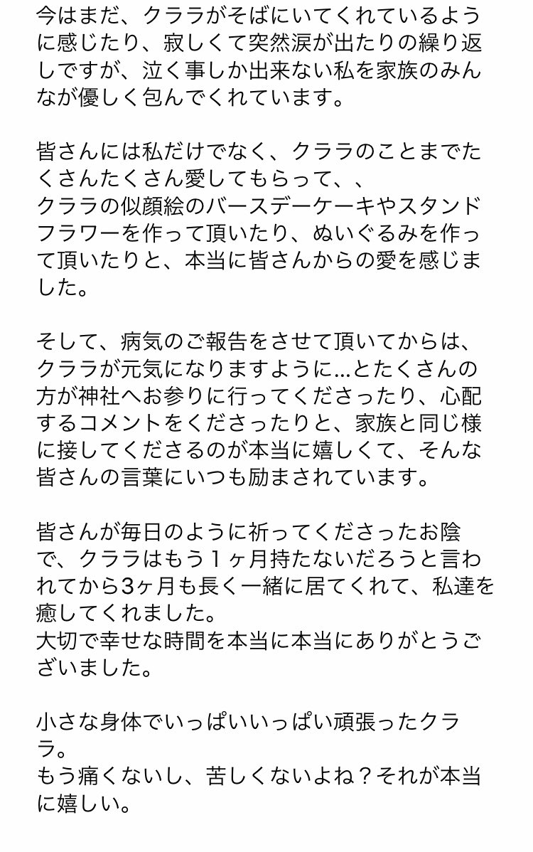 菅原りこさん 菅原家の 名犬クララ 逝く Togetter