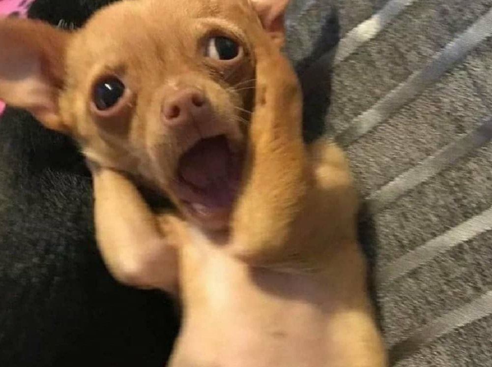 bonieebe's tweet photo. No mames #izzi mis clases weyyyy 😡😤 https://t.co/ykBntnia39