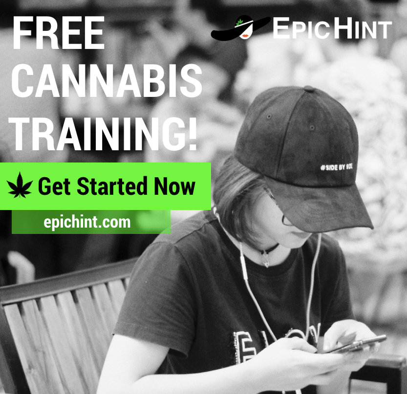 EpicHint's tweet photo. Every Monday a new group of Learners get free access to our comprehensive #cannabistraining, #dispensarytraining, and #Budtendertraining!

EpicHint's training is FREE, gets people HIRED, and gets people PROMOTED.

ALL are welcome! >>> https://t.co/3WLklczXcw 

#CannabisJobs https://t.co/gSKsKrGo0Z