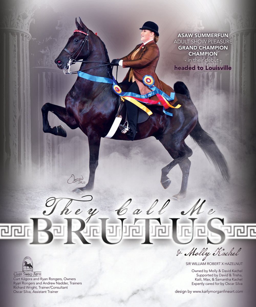 TNH1865's tweet photo. They Call Me Brutus & Molly Kachel: ASAW Summerfun Adult Pleasure Grand Champion and Champion #nationalhorseman #asawsummerfun @molly.kachel @cleansweepfarm #pleasure #saddlebred https://t.co/L1PeE6detm