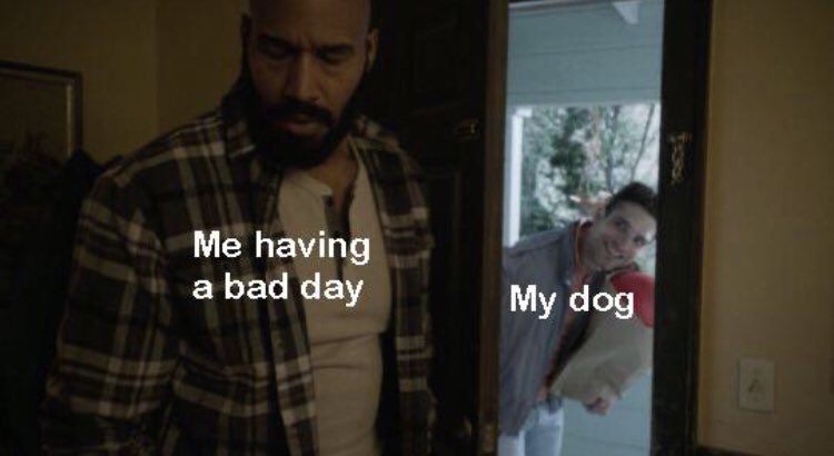 RespectfulMemes's tweet photo. https://t.co/xq7DcnyPg7