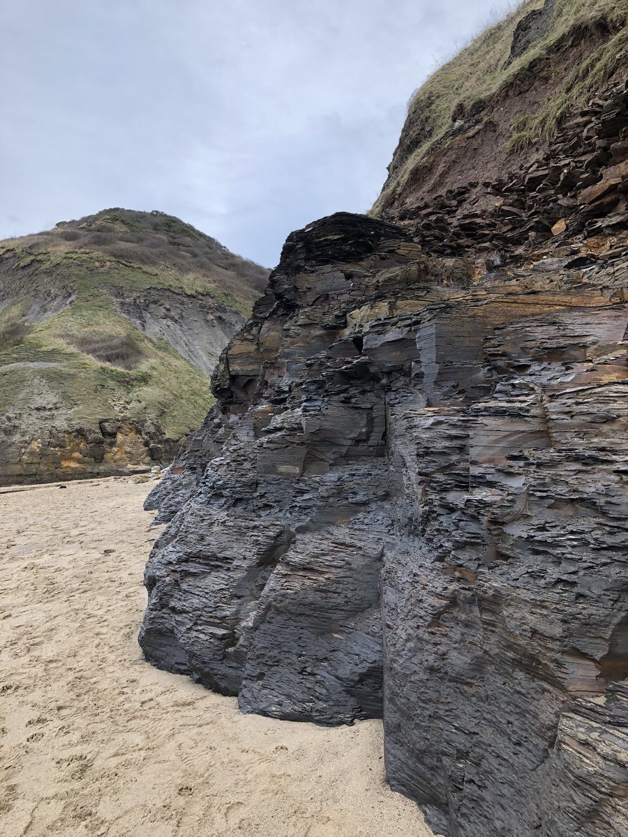 chip1e's tweet image. Not quite North Yorkshire’s @yorkshirelifemag equivalent to Mount Rushmore but there are faces in the rocks at Runswick Bay !
bbc.co.uk/news/uk-englan…