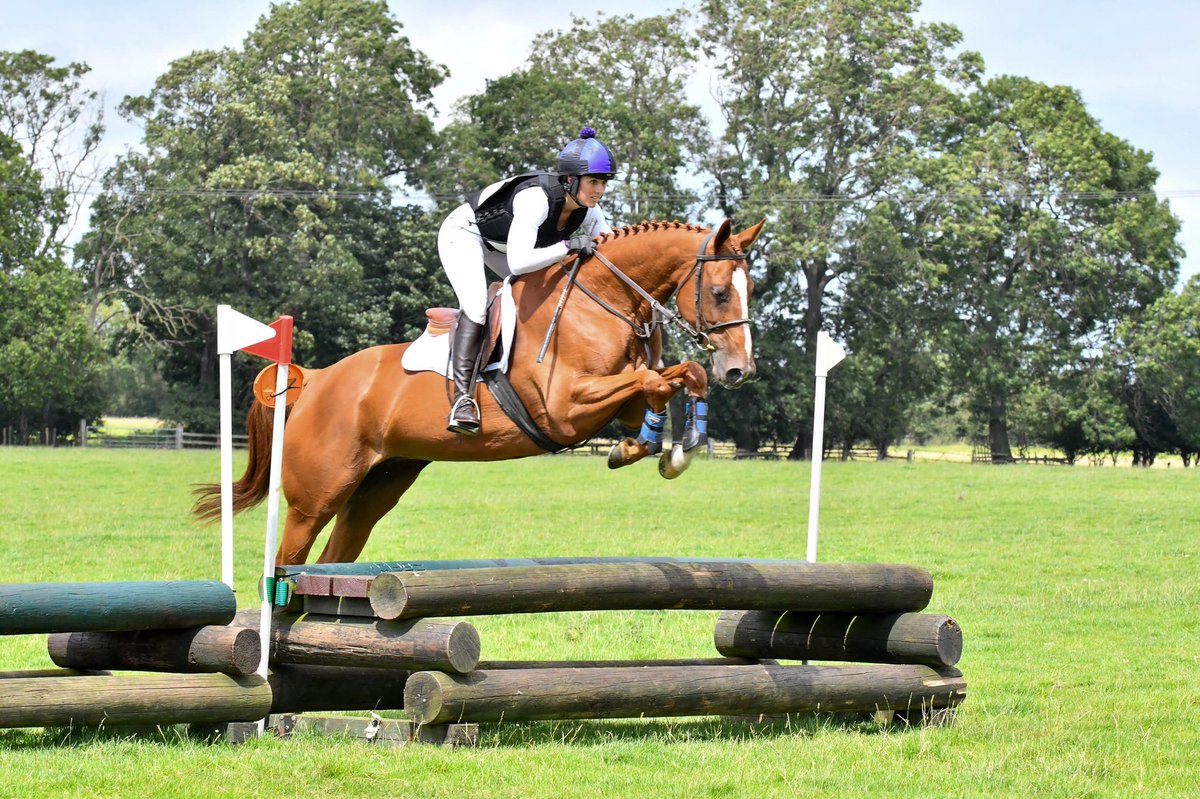 JkEquine's tweet photo. These two made me smile yesterday! Making the 90 look 70! Both have so much scope! Second time out for Annie and she took it all in her stride. #FunTimesAhead #Annie #Perky #Eventing #GoodPonies https://t.co/q2dNmYjmiN