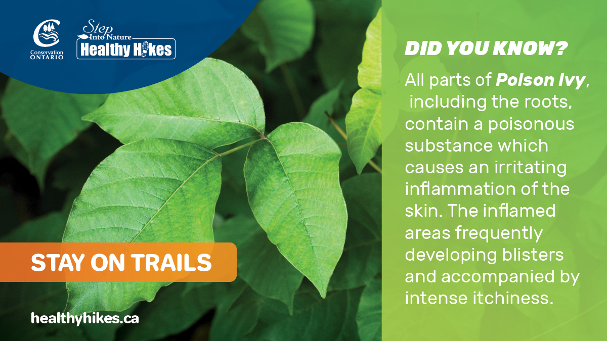 Conservation Ontario tweet media