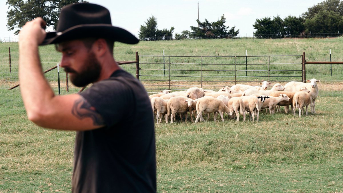 CapraFoods's tweet photo. Capra Foods ranchers are committed to strict humane practices that foster animal well-being and ensure environmental protection. Our culture is rooted in conservation, sustainability, and animal stewardship to produce the highest quality lamb possible.

 #theDorperDifference https://t.co/XwXvyzQ2OQ