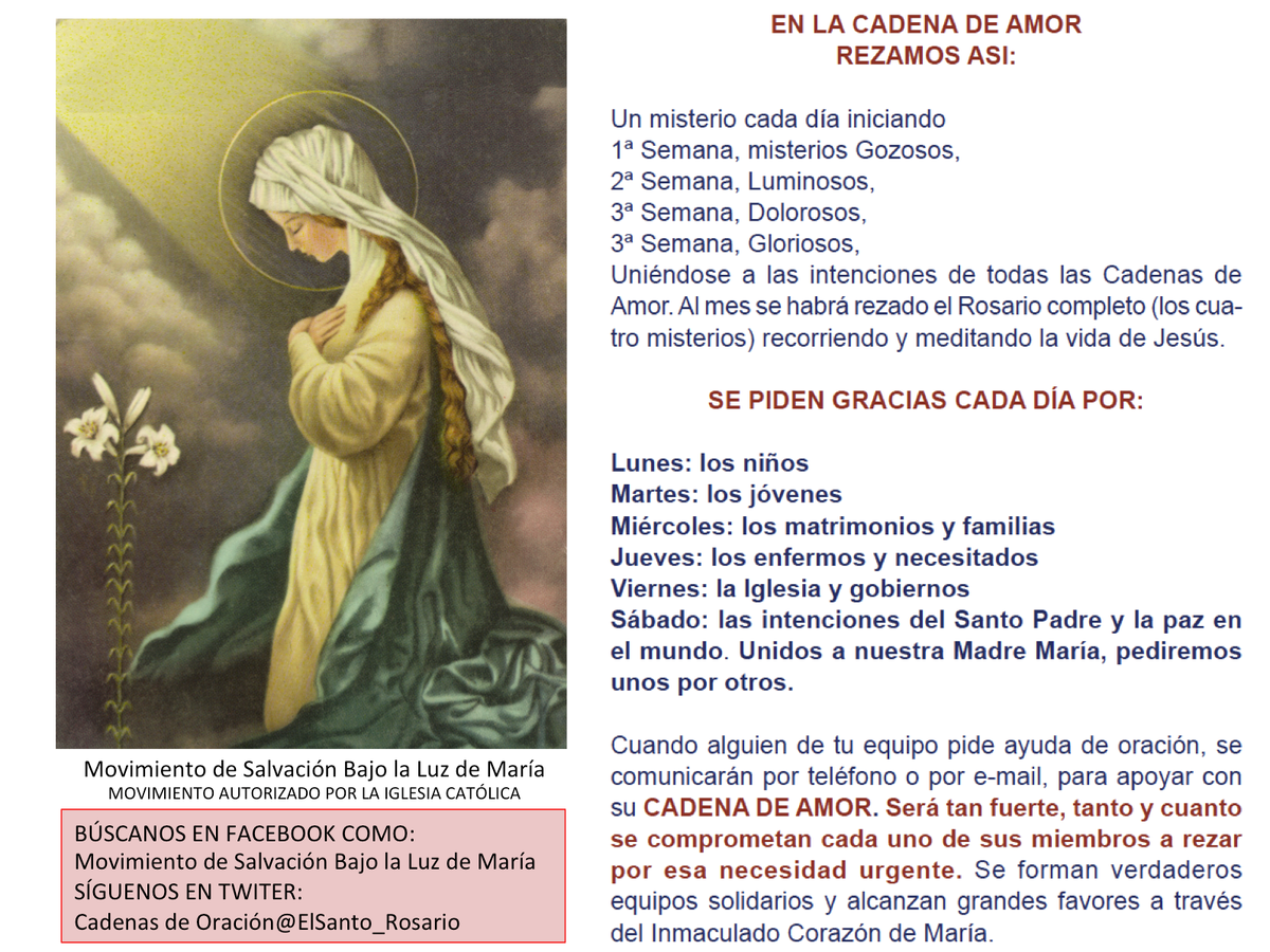 ElSanto_Rosario's tweet photo. Acompáñanos a rezar 1 Padre Nuestro y 10 Aves Marías, todos los días; meditando un pasaje de la vida de Jesucristo. Hoy iniciamos los Misterios de Gloria.
Desde donde te encuentres, a la hora que tu puedas, entra a este sitio y reza el misterio que publicamos. https://t.co/2c9CVWheOw