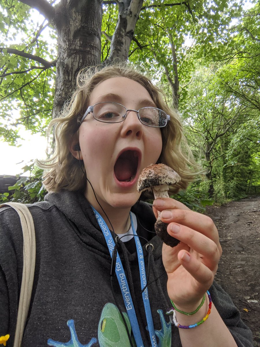 yalyx2001's tweet photo. Returned from the mycology excursion for @BritishEcolSoc @BES_careers summer school. #BESUG2020 !!!!
(Don't eat mushrooms)
@Amypadders @alienbaird @CTJeffs https://t.co/gIoVicy9Mu