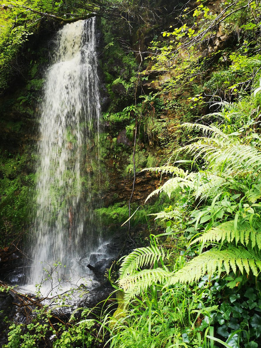 saloon_western's tweet photo. Hopped in the #vwcampervan yesterday and then walked the Lough Navar Waterfall trail. Beautiful but long! There is so much to see here and we always take its beauty for granted #NorthernIreland #ourweecountry #countyfermanagh #fermanaghlakes #waterfalls #sundayrambles #ViewPoint https://t.co/TkeQv4mVGy