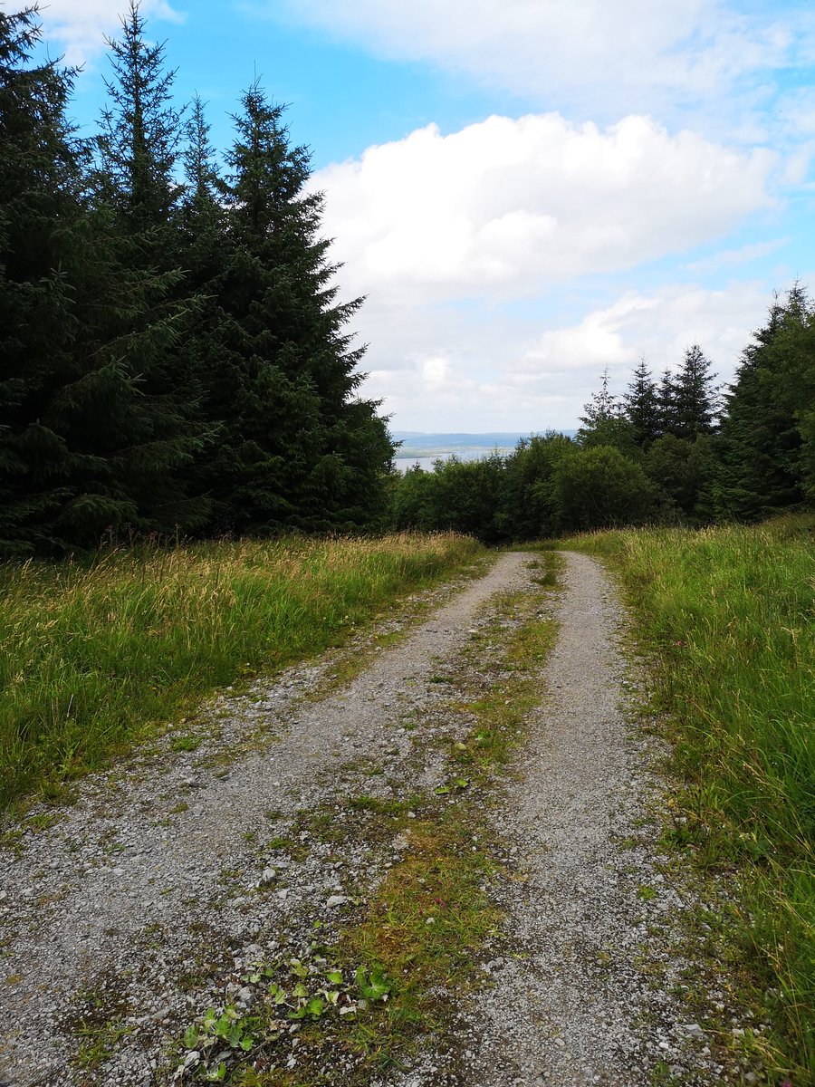saloon_western's tweet photo. Hopped in the #vwcampervan yesterday and then walked the Lough Navar Waterfall trail. Beautiful but long! There is so much to see here and we always take its beauty for granted #NorthernIreland #ourweecountry #countyfermanagh #fermanaghlakes #waterfalls #sundayrambles #ViewPoint https://t.co/TkeQv4mVGy