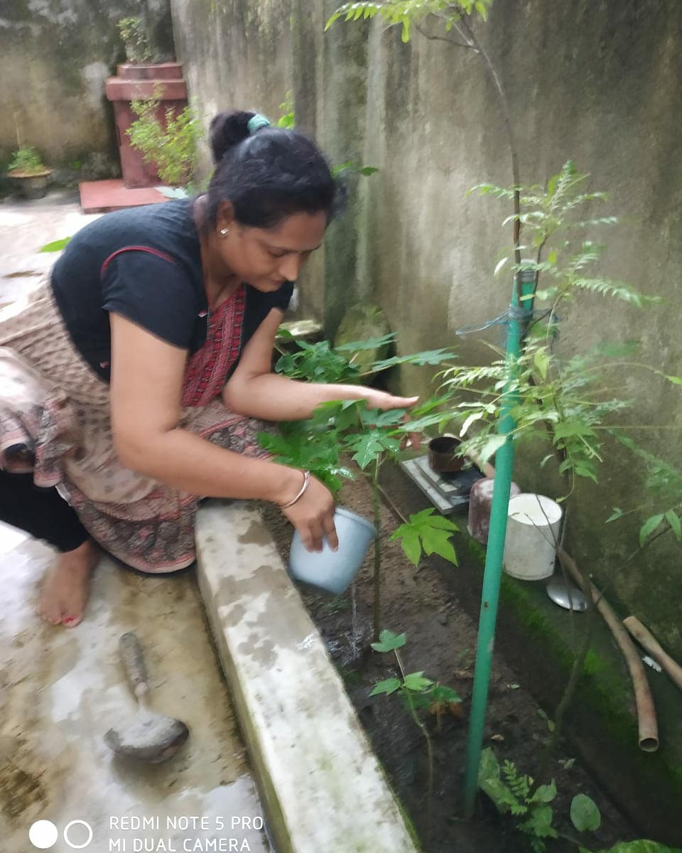 All these people planted Mango, Jackfruit, Lemon, Papaya and Basil plants. This campaign of Amaze Foundation is continue in this way. Thanks to all members for this Good Job. 
#NGO #SocialWork #Plants #Green #India #SaveEnvironment #PollutionFreeIndia #TeamWork #Awareness