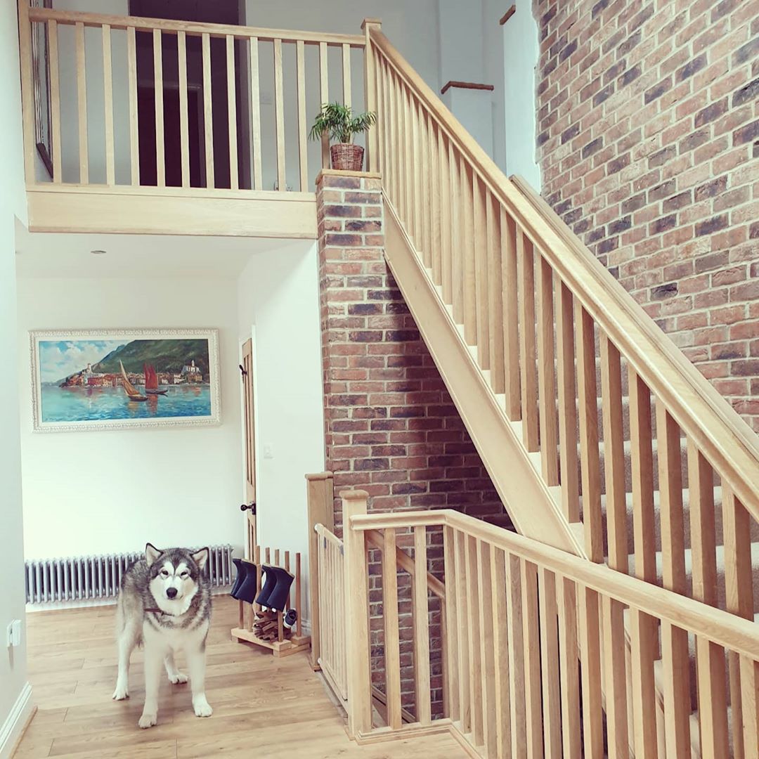 stairbox's tweet photo. We love the straight lines of this staircase, which features square oak spindles, oak newel posts and oak stringer.

Find more oak staircase inspiration here: https://t.co/cEfrRxj7Pq

#staircase #staircasedesign #newstaircase #oakstaircase #oakspindles #stairbox #exposedbrick https://t.co/ZUX9zNWXxk