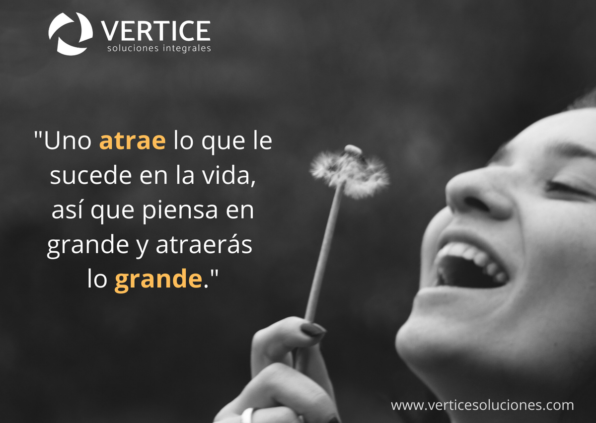 VerticeSolucion's tweet photo. https://t.co/pk7tEgZdQm