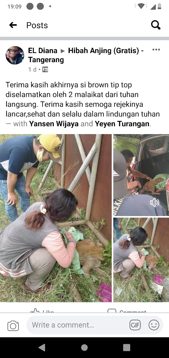 IndAnimalovers's tweet photo. 7. Atau setidaknya pls doakan dam SHARE SHARE SHARE! KISAH SEDIH #SABI https://t.co/HYpgee0yo8
Thank you in advance. https://t.co/KiO64zWFw2