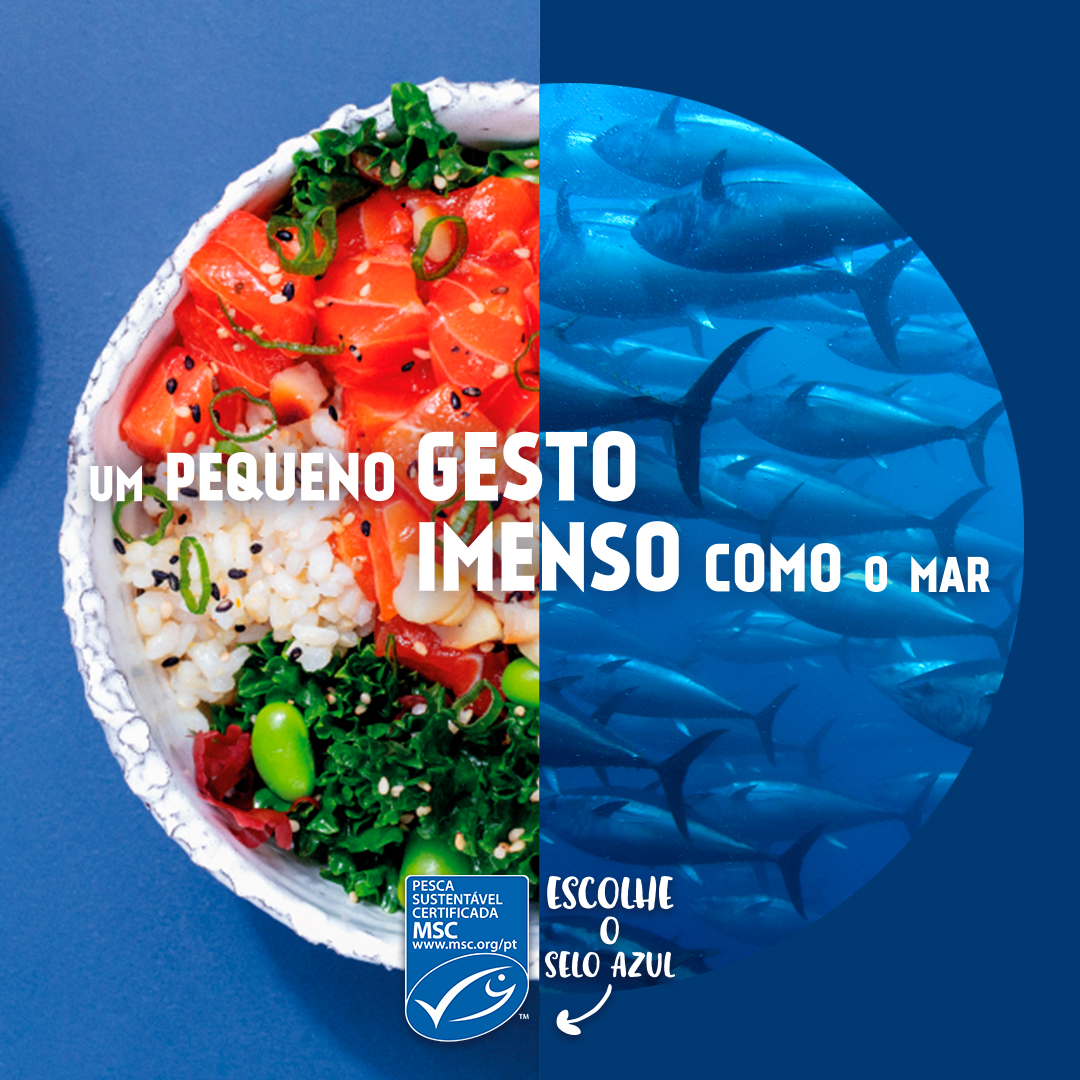 mscemportugal's tweet photo. Te questionaste sobre o que há por de trás o peixe que consumimos? Existe um oceano para preservar, e ecossistemas a proteger. É por esta razão que  @mscemportugal criou um programa de certificação que reconhece as práticas de #PescaSustentável #PensaAzul #SeloAzul #MarParaSempre https://t.co/INUfyW3Qzy