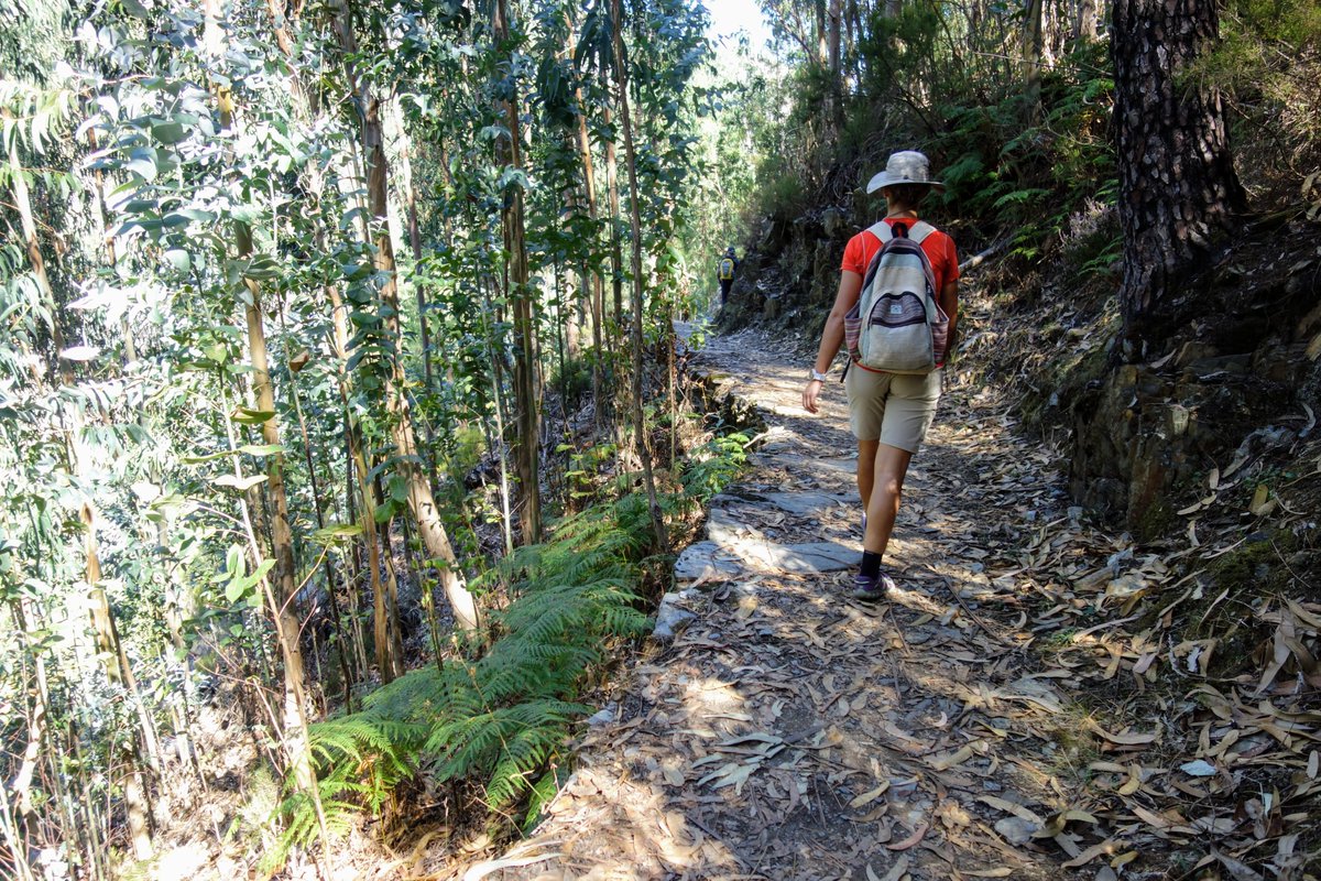 Hikeandcycle's tweet photo. Hoe mooi ook, heb je inmiddels genoeg van de drukke wandelpaden in eigen land? De Route van de Week ligt in hartje Portugal en voert je langs twaalf Historische Dorpen. Daar vind je de rust en ruimte die hier (soms) ontbreken. @visitportugalNL #wandelen

https://t.co/83FMaVS3Sr https://t.co/IP1eLHJNGy