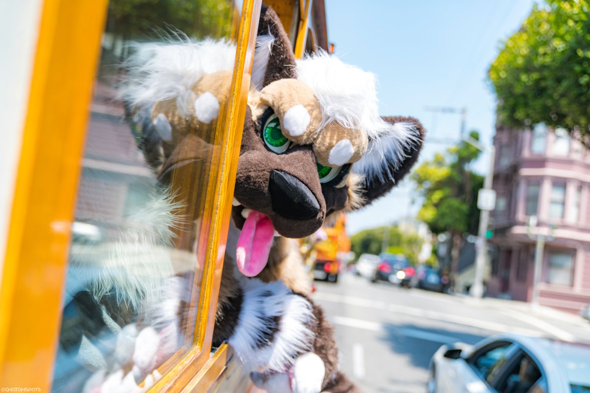 ChatahSpots's tweet photo. This time two years ago... Furry Cable Cars 2 🚍🌁
📸 16-35mm, 24-70mm | 28JUL18 https://t.co/z5TXXmIk2P