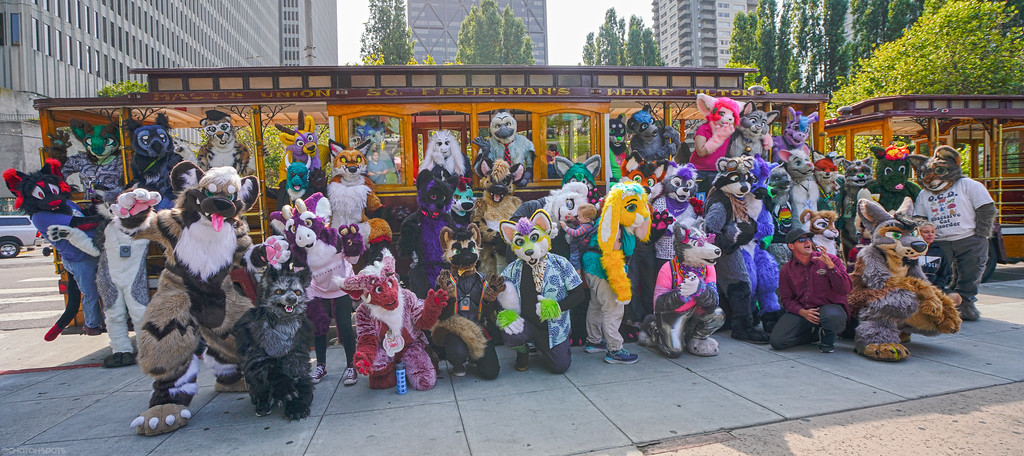 ChatahSpots's tweet photo. This time two years ago... Furry Cable Cars 2 🚍🌁
📸 16-35mm, 24-70mm | 28JUL18 https://t.co/z5TXXmIk2P