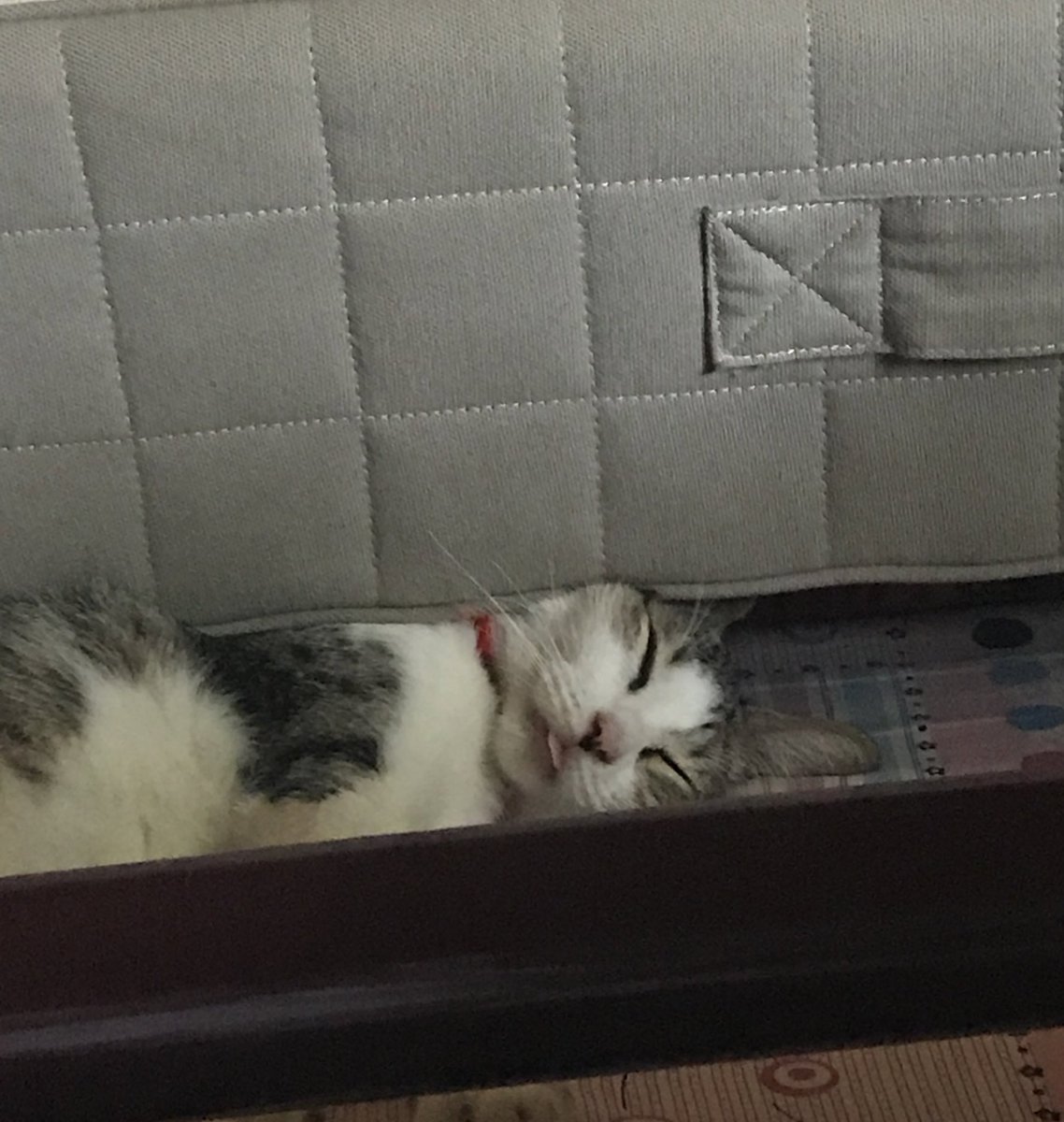 15. sumiksik sya dyan para matulog HAHHAA