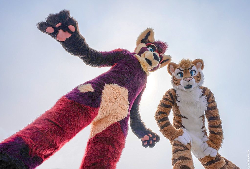 ChatahSpots's tweet photo. This time two years ago... Furry Cable Cars 2 🚍🌁
📸 16-35mm, 24-70mm | 28JUL18 https://t.co/z5TXXmIk2P