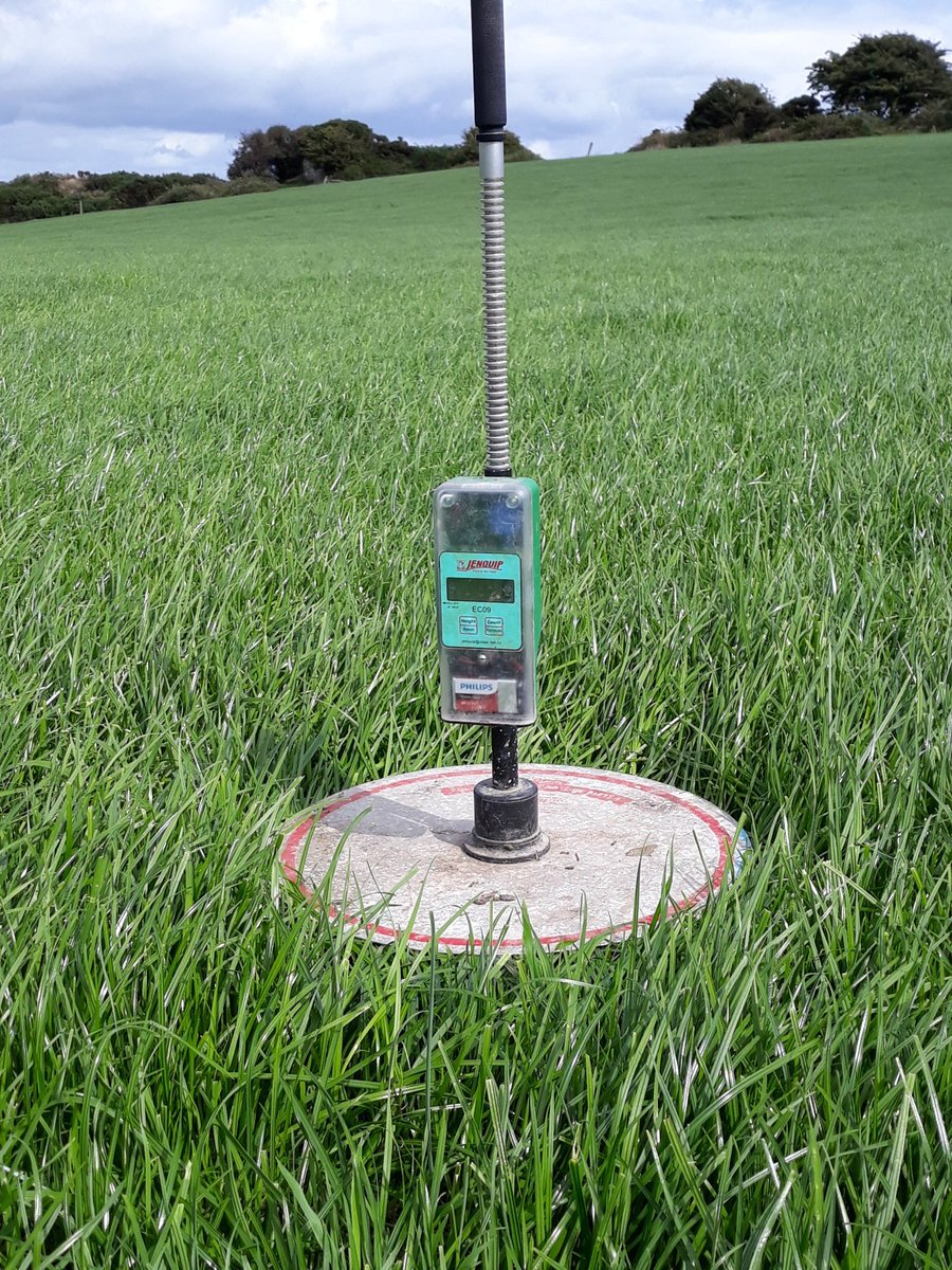 2pintpaddy's tweet photo. Really starting to love the Abergain grass , more importantly the cows are starting to like it too. Paddock was grazed last Saturday 18th July and I just measured it and the cover is 1300kgs ... cows will graze it again 2mow morning #Abergain https://t.co/JMXQbl2mMe